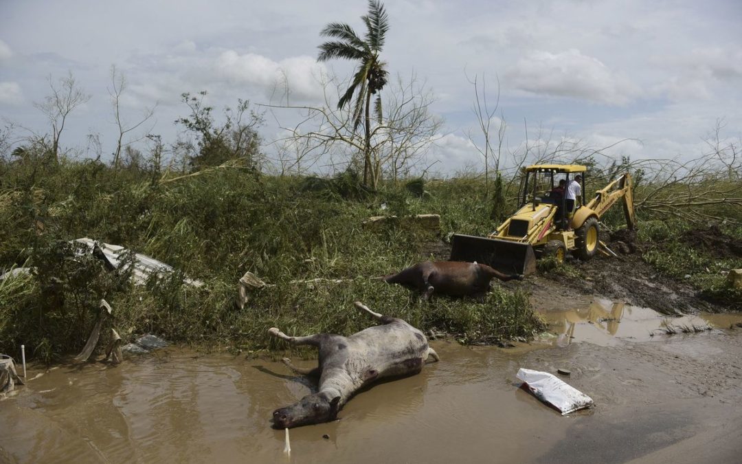 Failing Puerto Rico